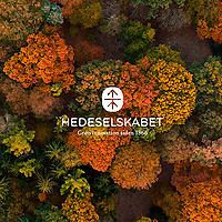Hedeselskabet