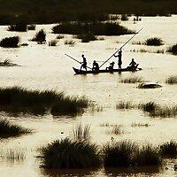 भारत स्थानीय भाषाओं और बोलीओं कि एक लाख से अधिक