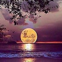 Words of Life, Good News, Gospel Song.for Major Languages Spoken in  Singapore／以在新加坡使用的“主要语言”