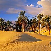 كلمات الحياة" ، "الأخبار السارة" ، "ترانيم الإنجيل" - اللغات الرئيسية ا