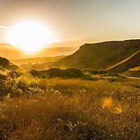 ==== "كلمات الحياة" ، "الأخبار السارة" ، "ترانيم الإنجيل" - اللغات الرئيس