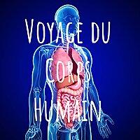 Voyage du Corps Humain