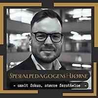 Spesialpedagogens hjørne