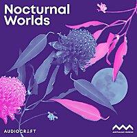 Nocturnal Worlds