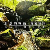 自然的咏诵·白噪音实录·助眠·冥想·心流