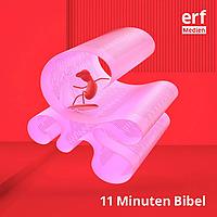 11 Minuten Bibel – ein Meinungsaustausch
