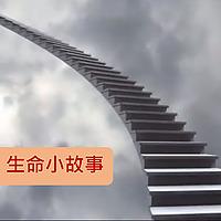 生命小故事