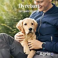 Dyrebart: Det gode hundeliv