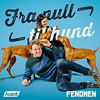 Fra null til hund