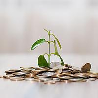 le mindset du millionnaire