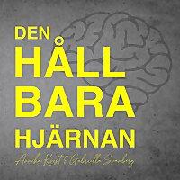 Den hållbara hjärnan