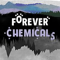 Forever Chemicals