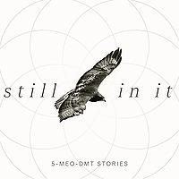 Still In It : 5-MeO-DMT Stories
