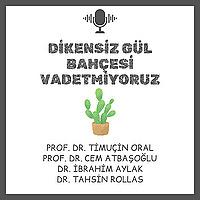 Dikensiz Gül Bahçesi Vadetmiyoruz