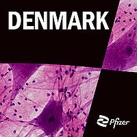 Pfizer Denmark