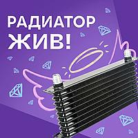 Радиатор жив! | Клуб романтики