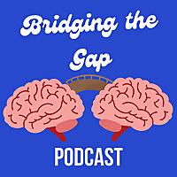 Bridging The Gap