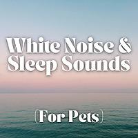 White Noise and Sleep Sounds (For Pets)