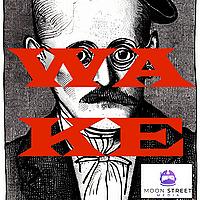 WAKE: Cold Reading Finnegans Wake