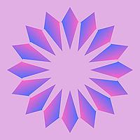 Paths of Practice: Conversations on Journeys into Buddhism