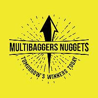Multibagger Nuggets