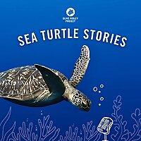 Sea Turtle Stories