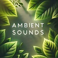 Ambient Sounds