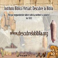 Salmos I Descubre la Biblia