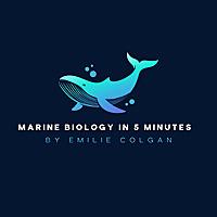 Marine Biology in 5 Minutes