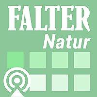FALTER Natur