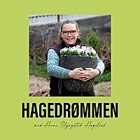 Hagedrømmen