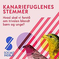 Kanariefuglenes stemmer