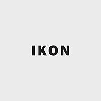 Ikon Gallery