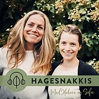 Hagesnakkis