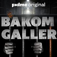 Bakom Galler