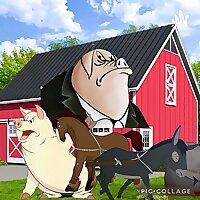Animal Farm Analyzers