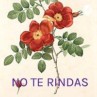 NO TE RINDAS - MARIO BENEDETTI
