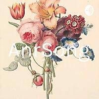 AnrSong