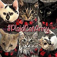 #PlaidCatArmy