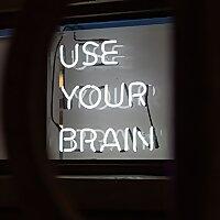 neurovida