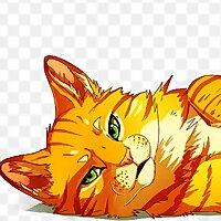 A Cat Chat
