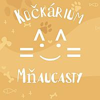 Kočkárium - Mňaucasty