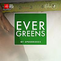 Evergreens by Spuerkeess