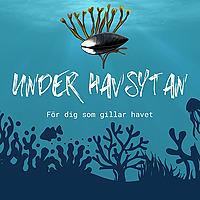 Under havsytan