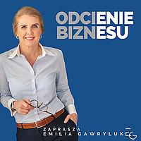 Odcienie biznesu