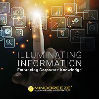 Illuminating Information - Embracing Corporate Knowledge