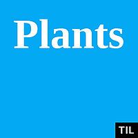 TIL: Plants