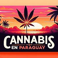 Cannabis en Paraguay
