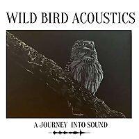 Wild Bird Acoustics