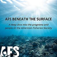 AFS Beneath the Surface